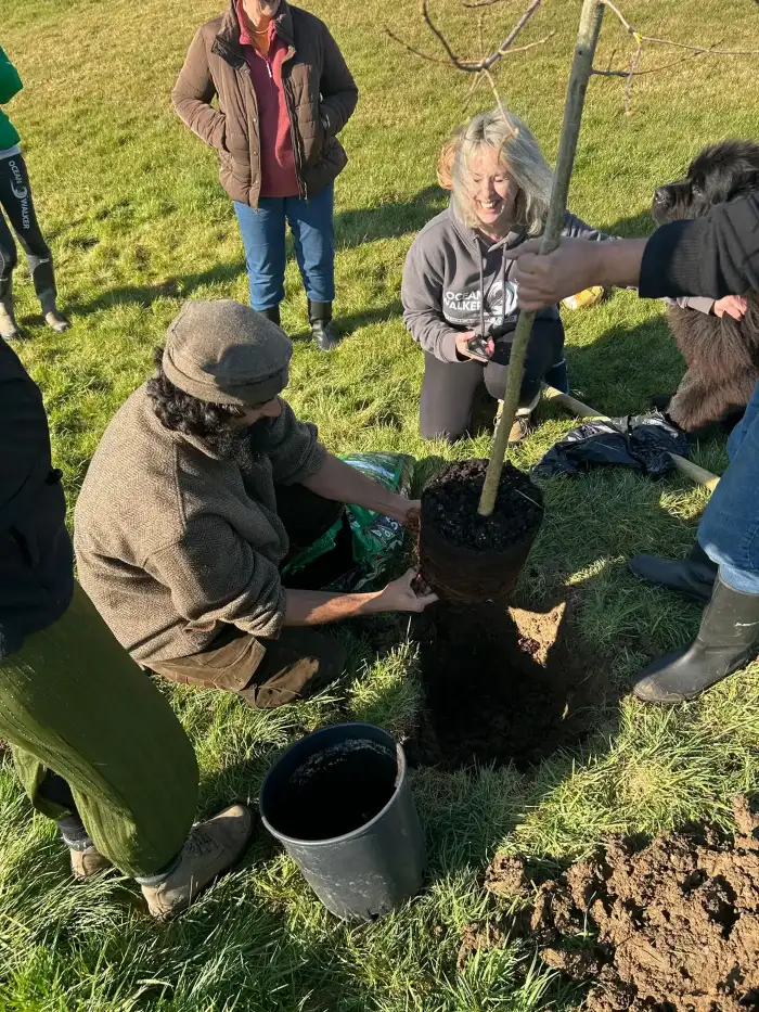 Tree-planting volunteers celebrating together while working in freshly turned soil.