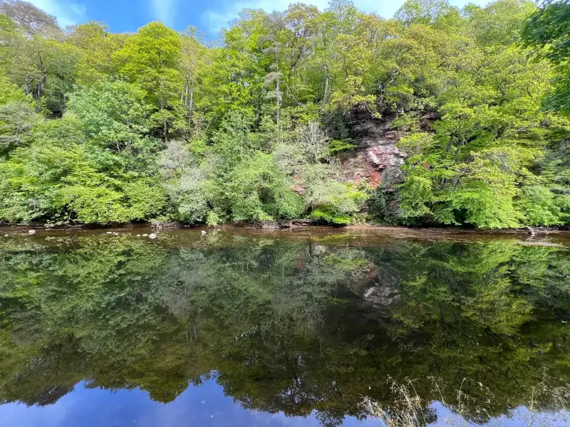 Tranquil river reflecting surrounding forest in a spring landscape.