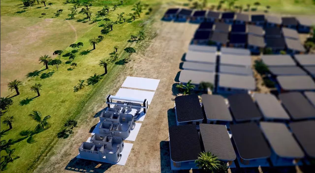 3d community