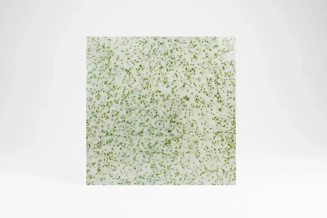 Dew TS2624
