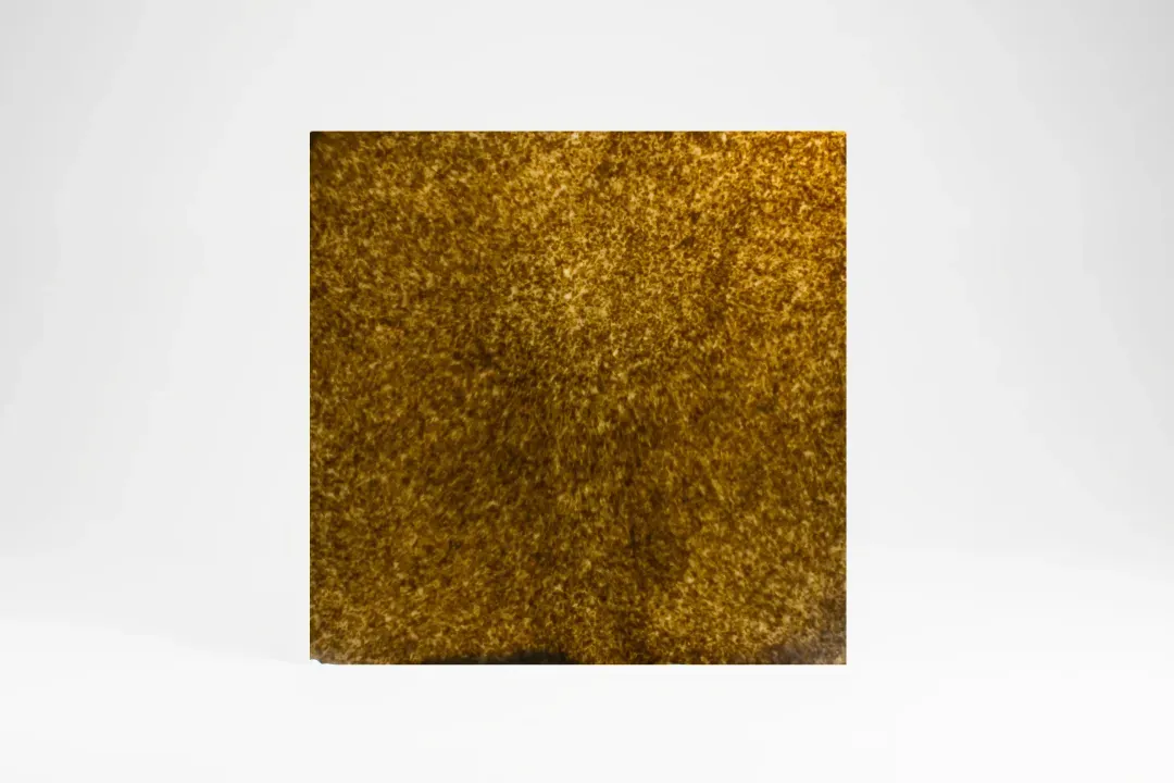 Honey TS2621