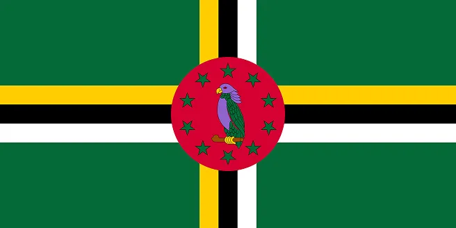 Dominican Flag