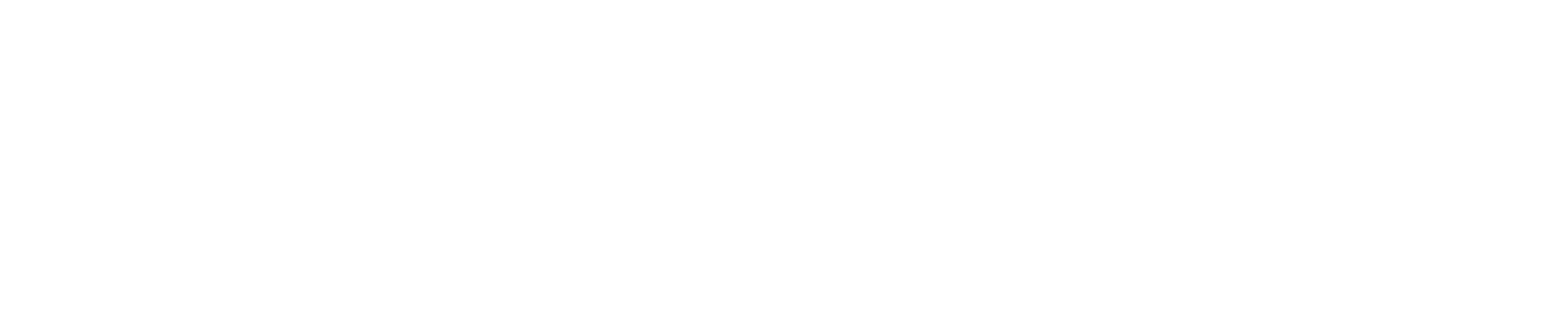 Logo Wakabooster