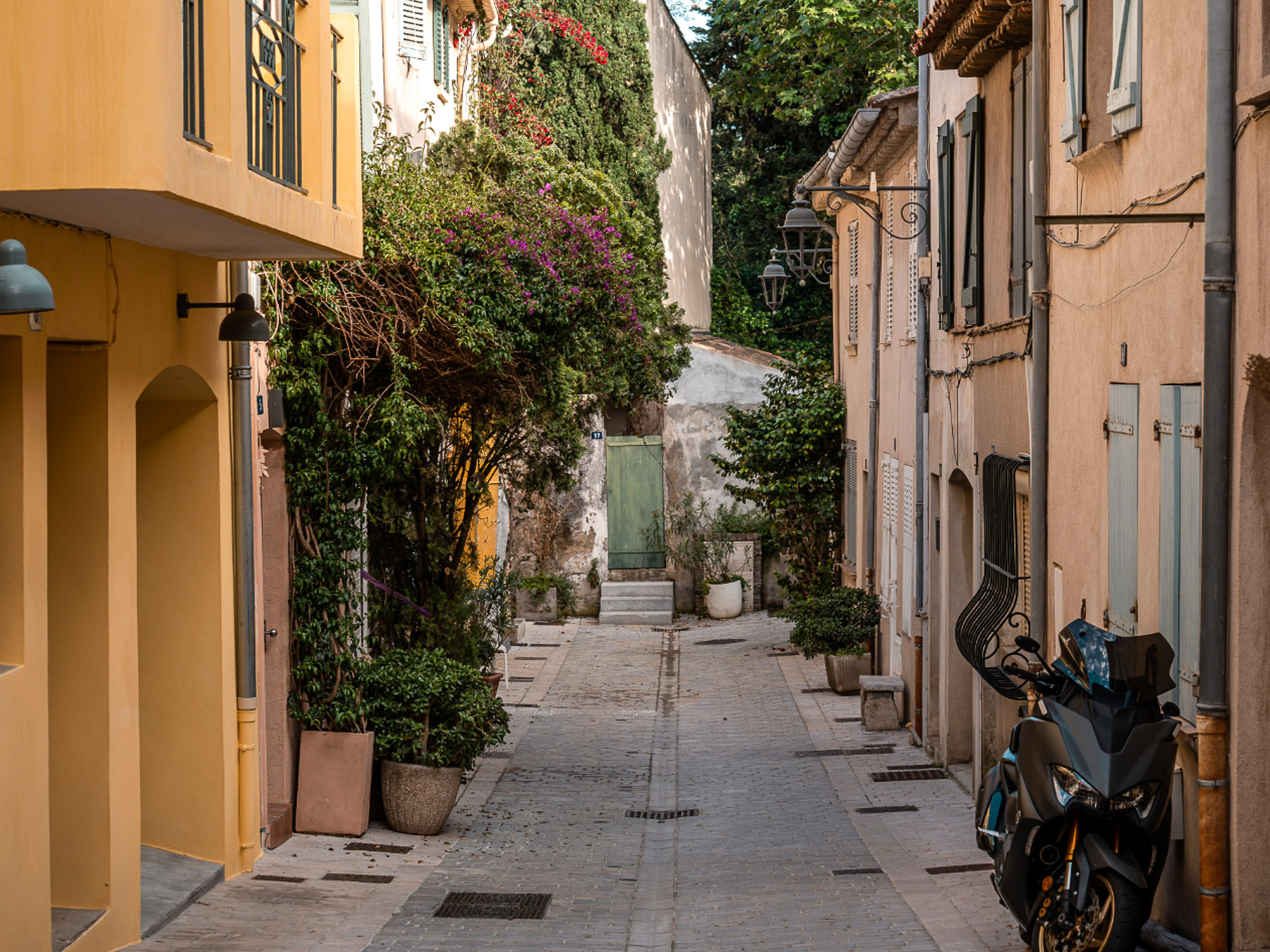 Quiet Athens neighbourhood alley with plants and a parked scooter