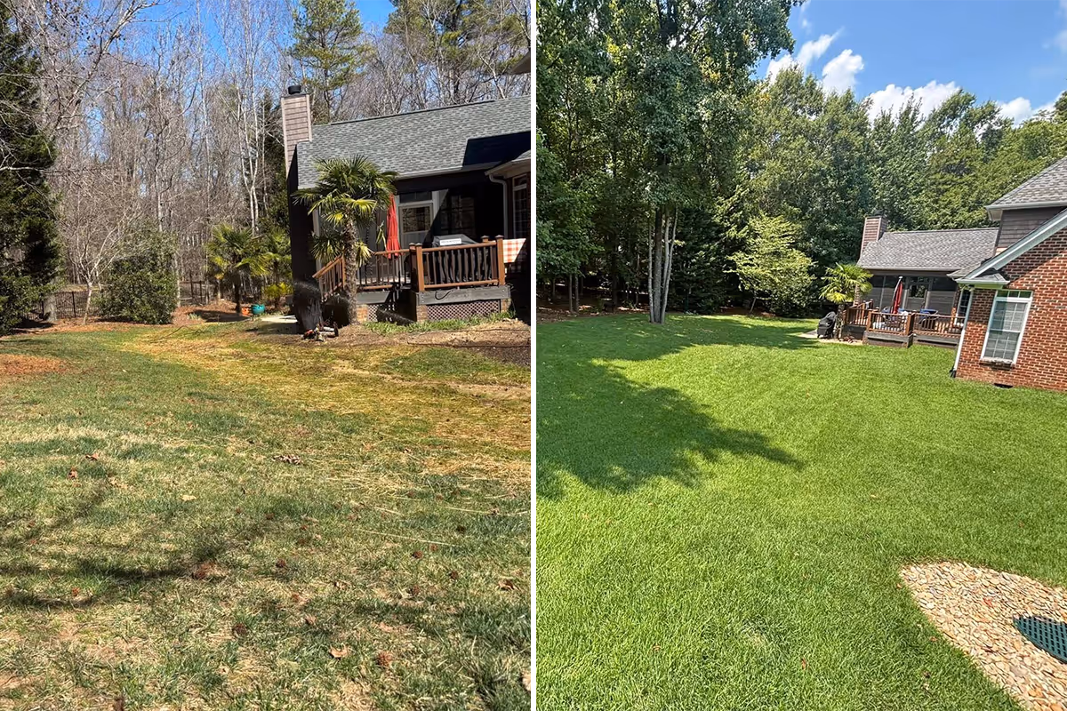 Side-by-side comparison of a backyard before and after lawn renovation, showing patchy and sparse grass on the left and lush, green grass on the right.