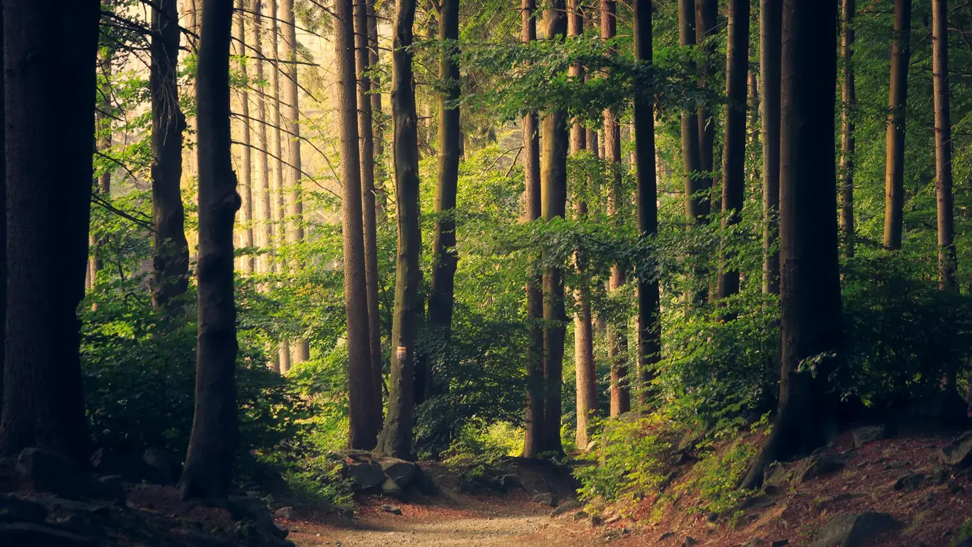 5 facts you need to know to release stress