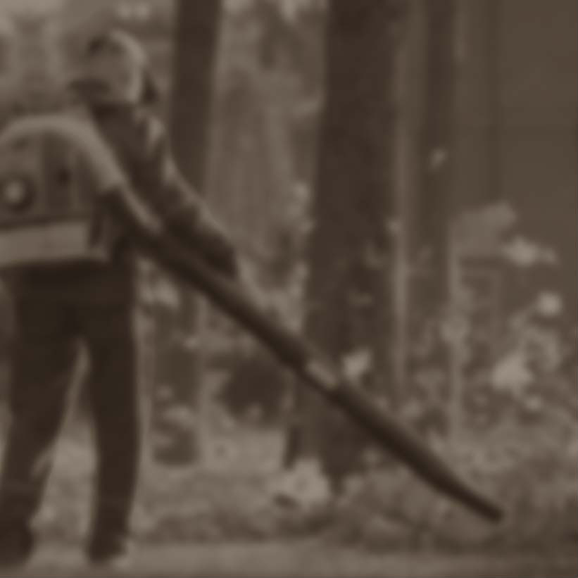 Seasonal Home Services in Wooster, OH