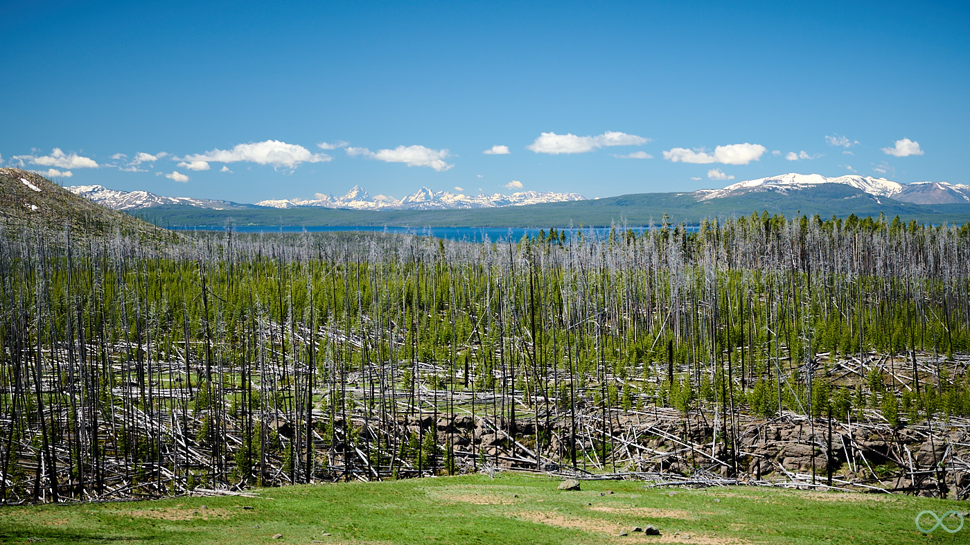 Campingplatz im Yellowstone Nationalpark mit Blick auf Wälder und Berge
