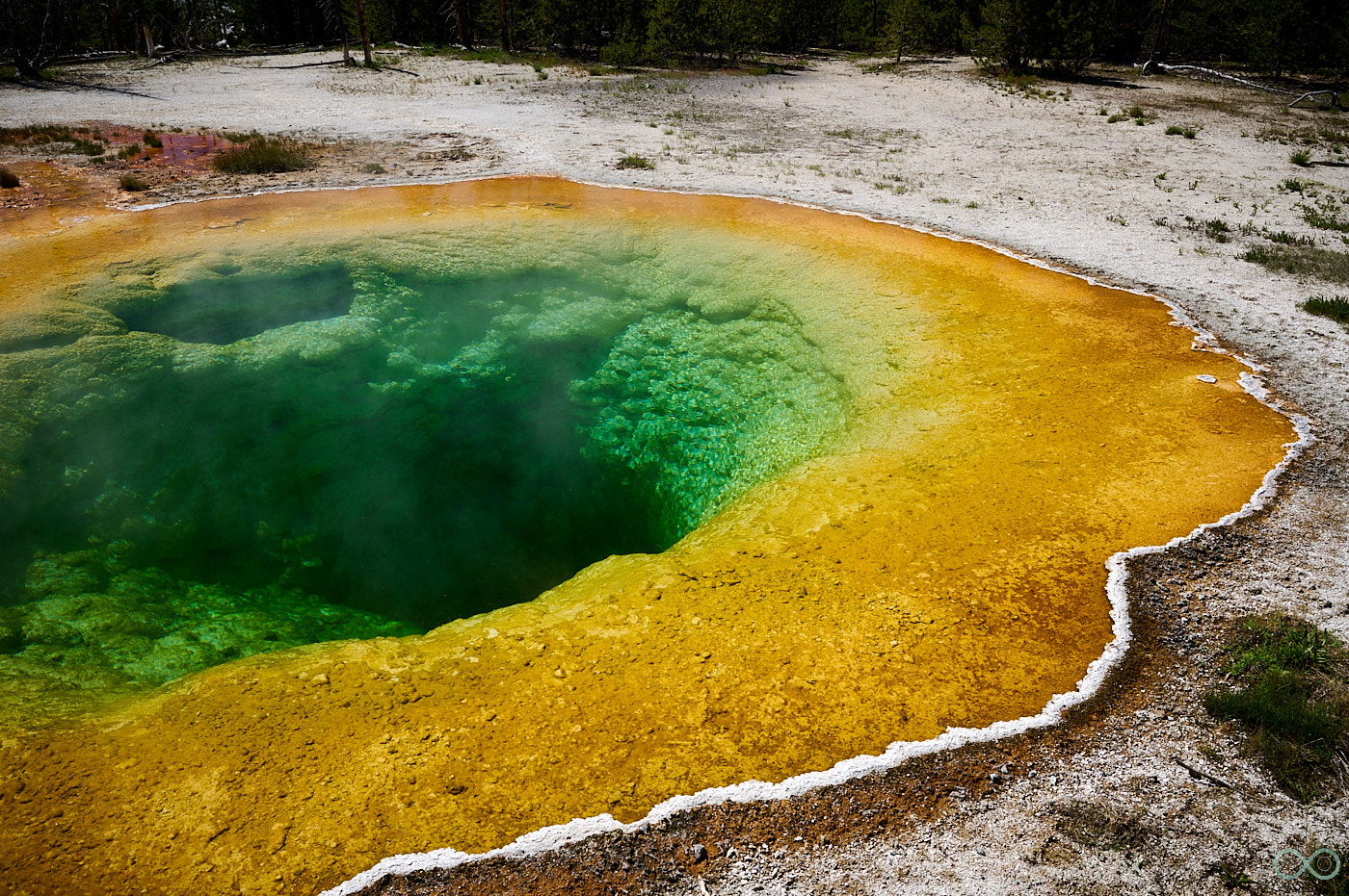 image of art print for sale