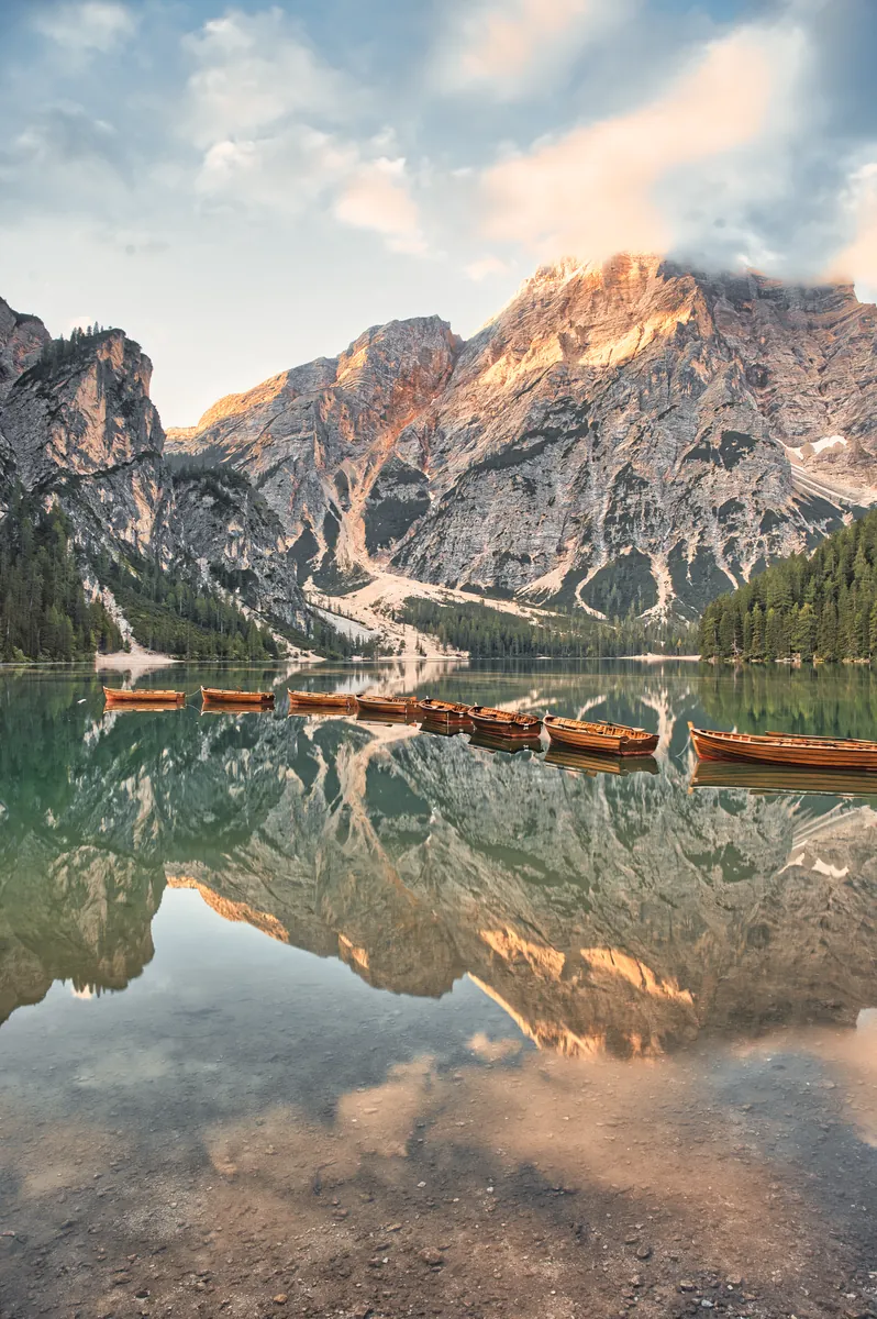 image of art print for sale