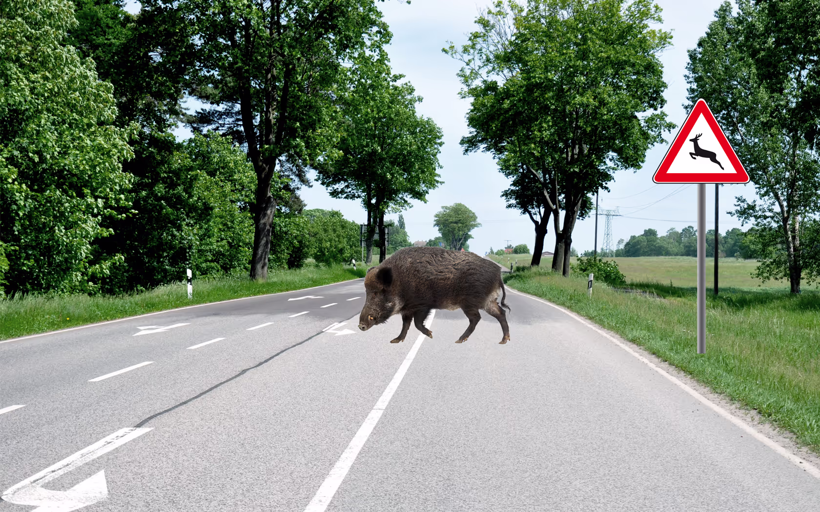 Screenshot aus dem Training: Alterness (ALTA) 