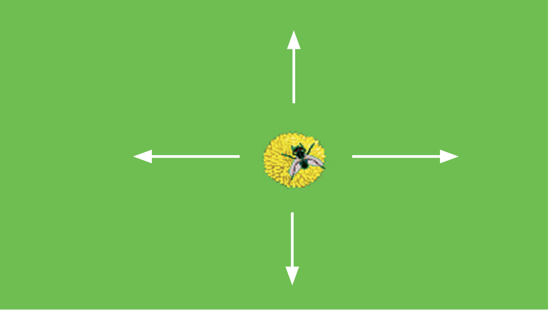 Screenshot aus dem Training: Visuomotorische Koordination (WISO)