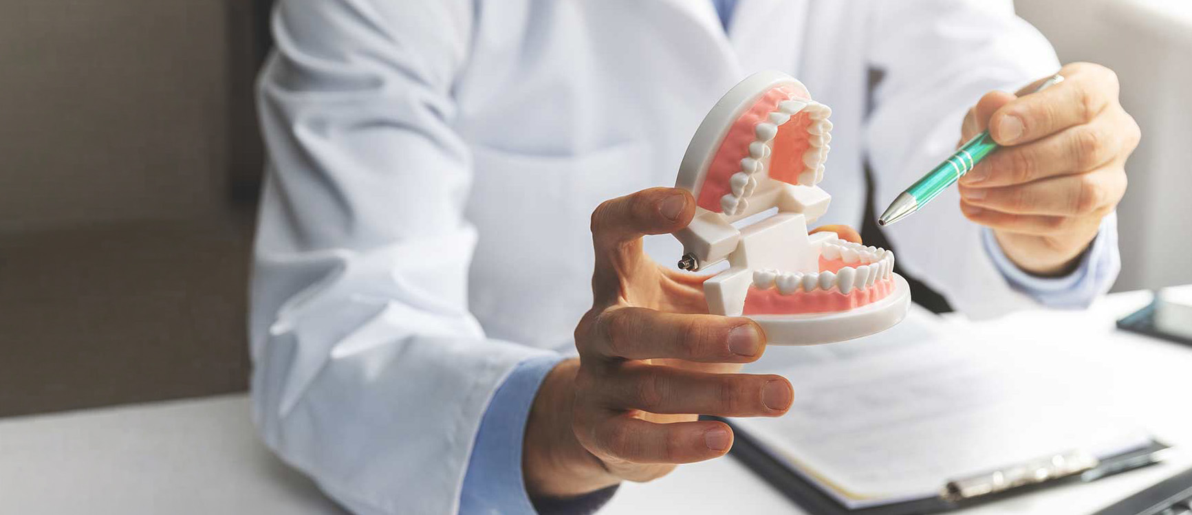 Dentist in a white coat holding a dental model of teeth and pointing at it with a pen.