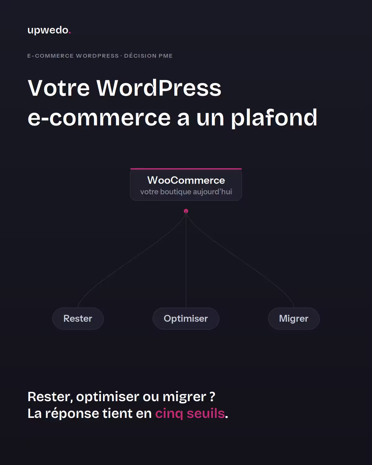 Site e-commerce WordPress : rester, optimiser ou migrer, le guide de décision PME upwedo.