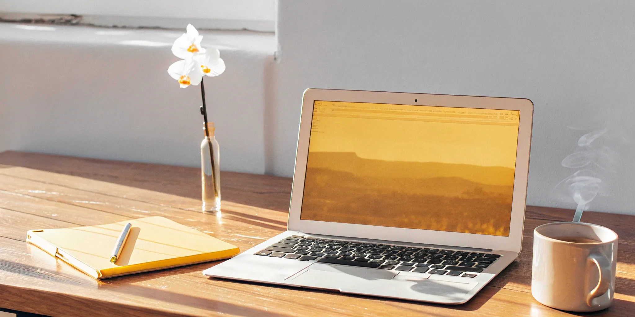 A laptop on a desk used to research how much online officiant certification costs.