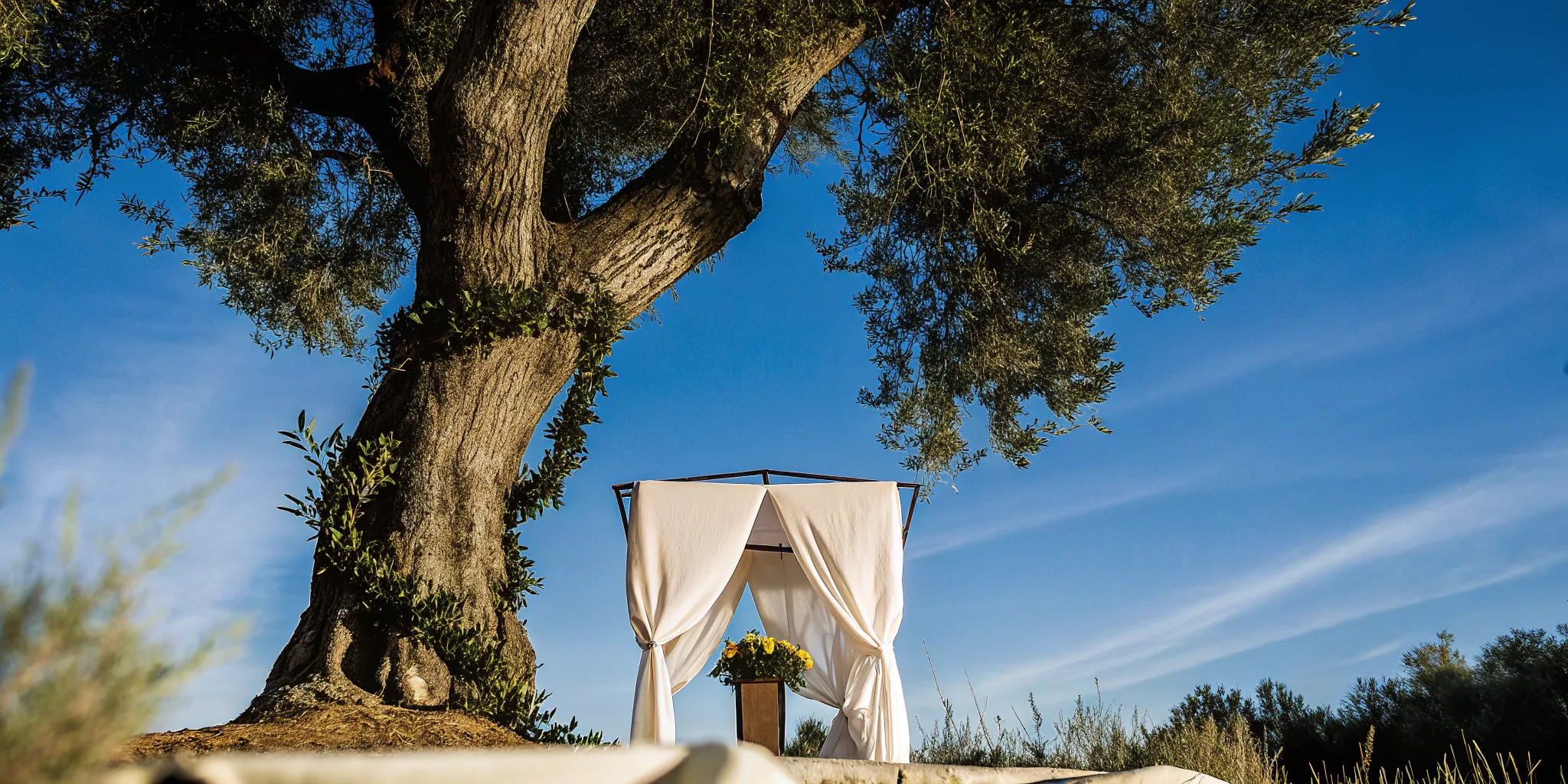 Wedding altar ready for a ceremony after getting officiant certification online.
