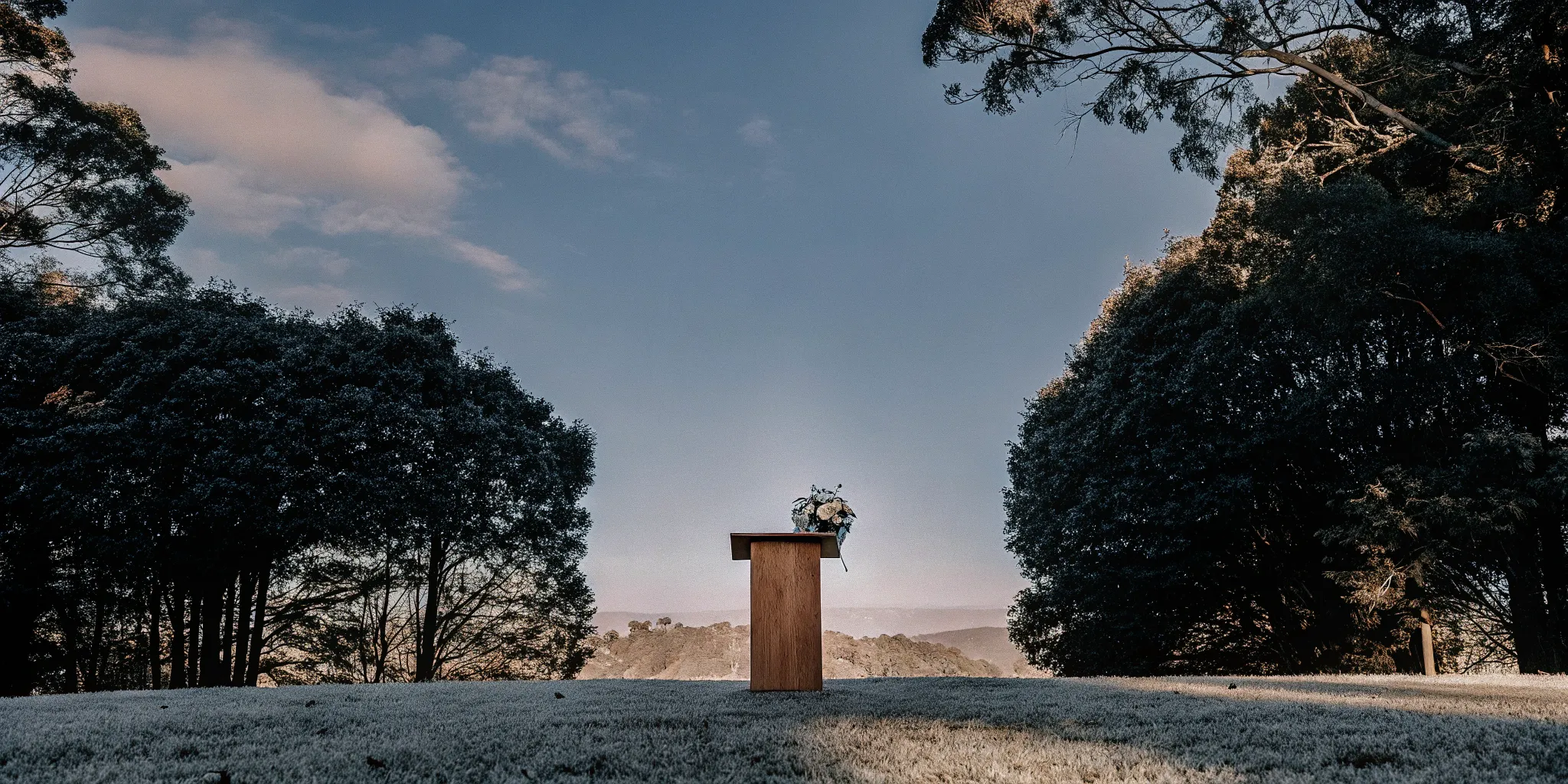 Ordained minister stands at a podium between trees under a blue sky.