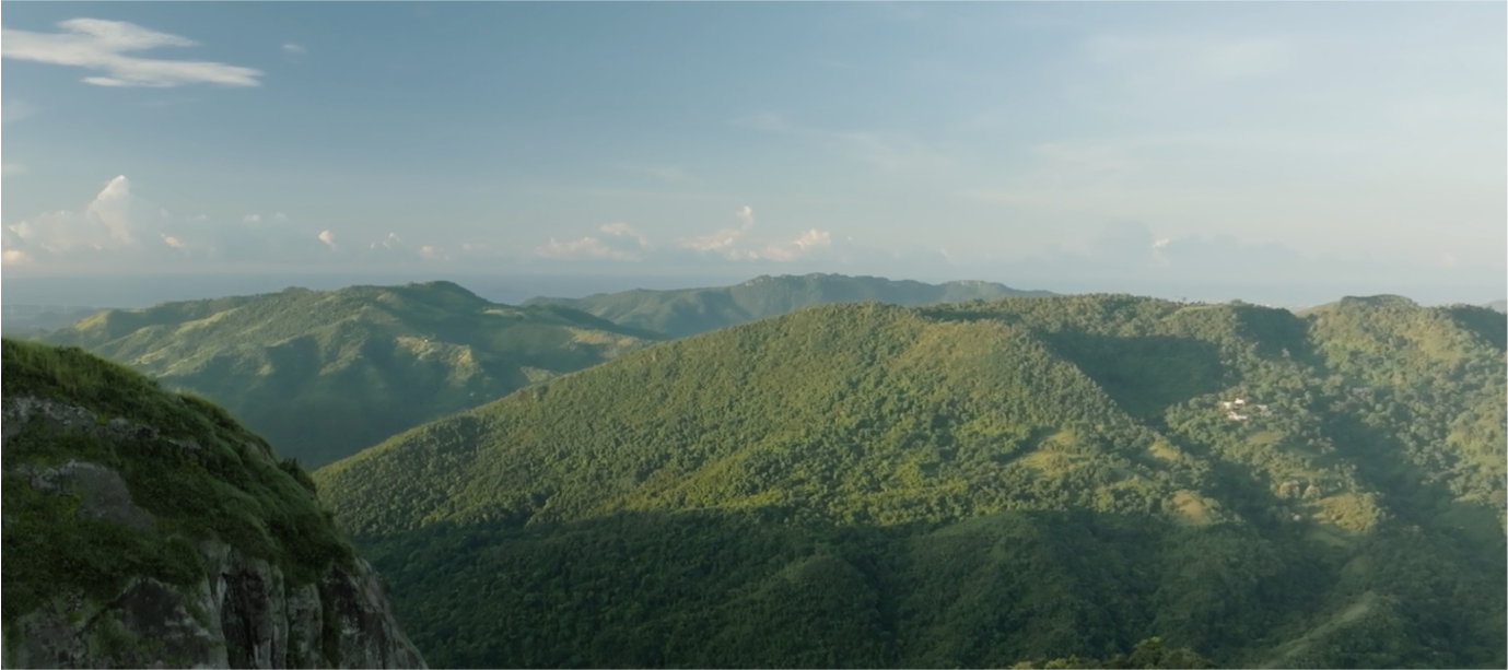 Montañas y Naturaleza