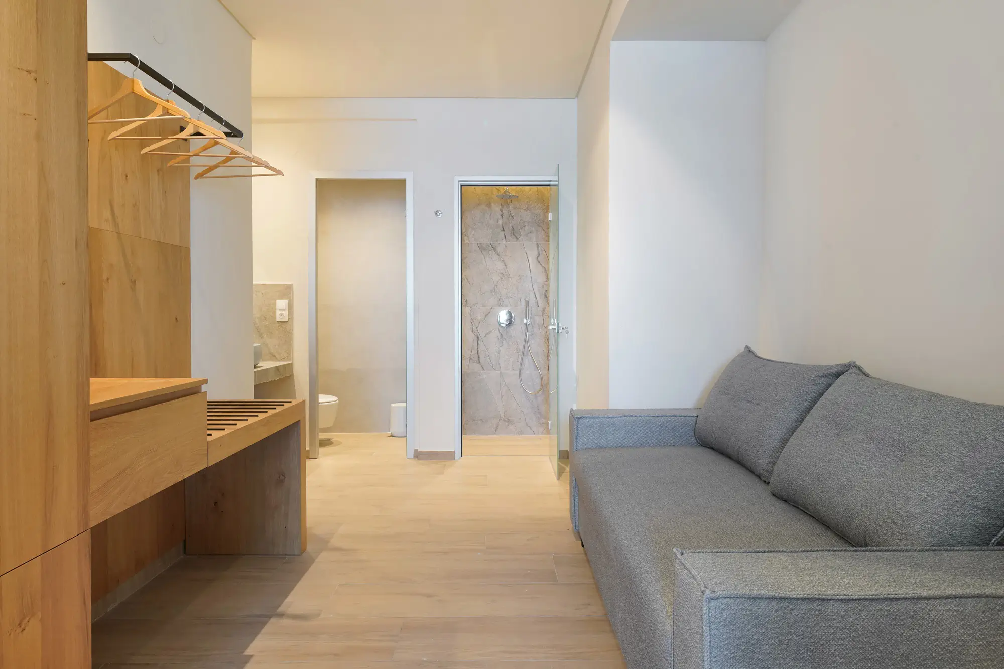 Living area with sofa bed, wood wardrobe and second bathroom entrance | Living Area