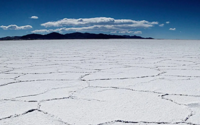 Why Argentina Is the Perfect Territory for Rally Flight