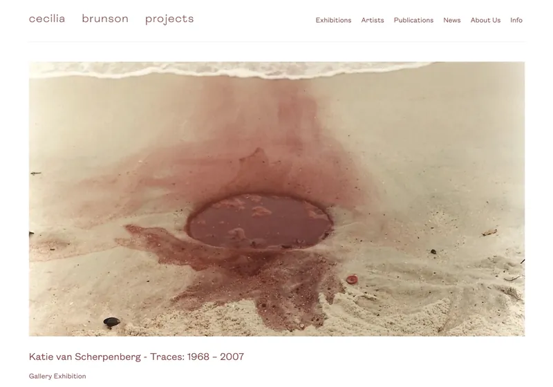Cecilia Brunson Projects