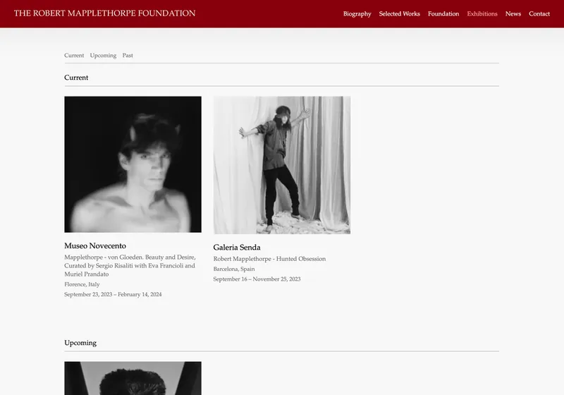 The Robert Mapplethorpe Foundation