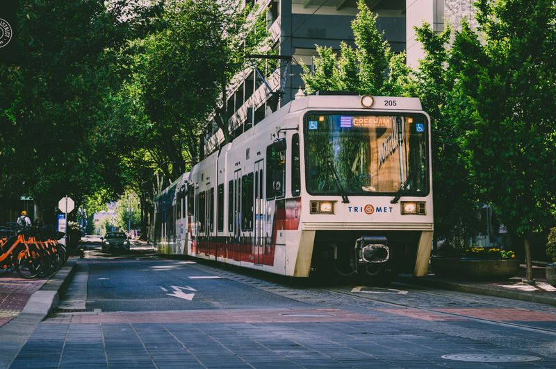A tram navigating through a tree-lined street in an urban environment, showcasing public transportation.