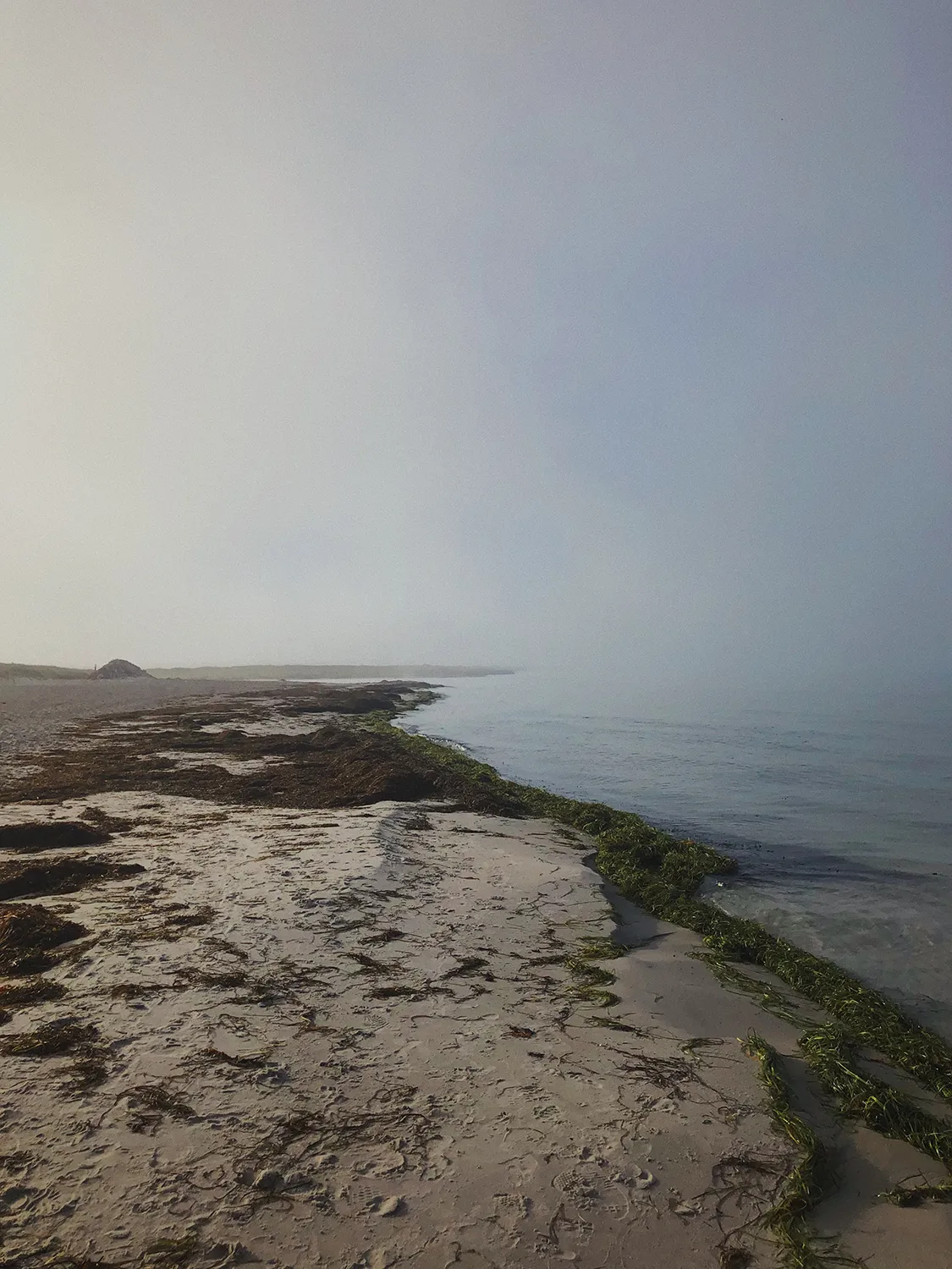 Black and white portrait of a young woman with shoulder-length hair and bangs sitting indoors near a window with potted plants.