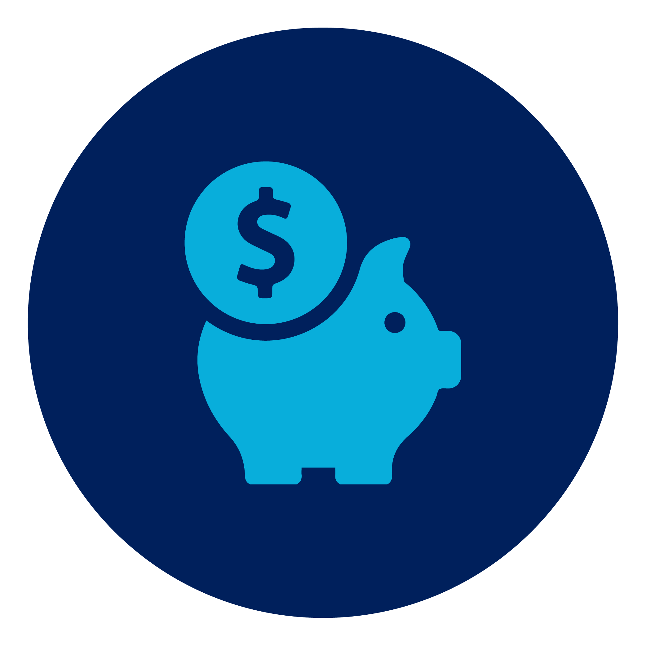 Piggy bank icon
