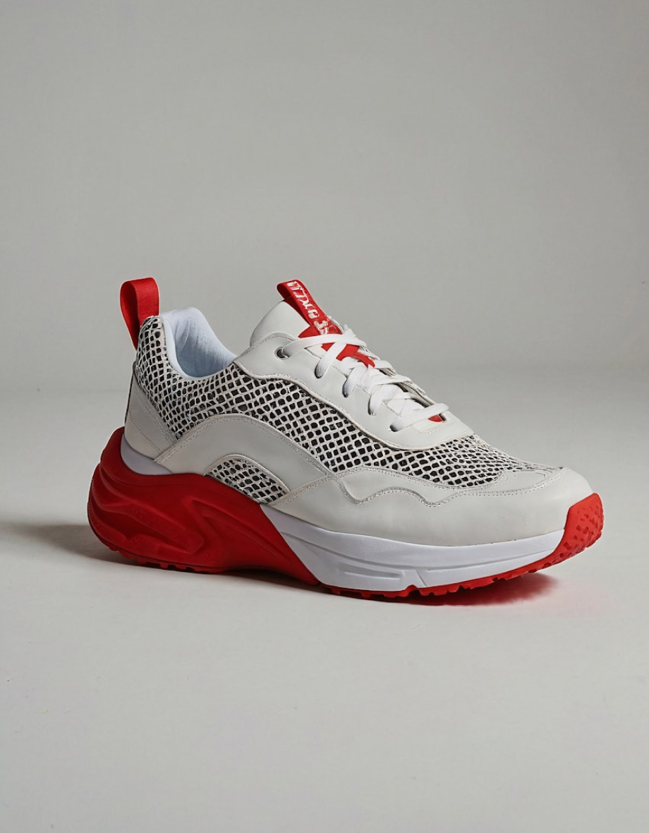 Template Image - Pictlens Webflow Template