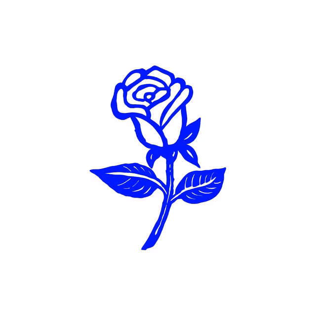 Blue line illustration of a rose on white