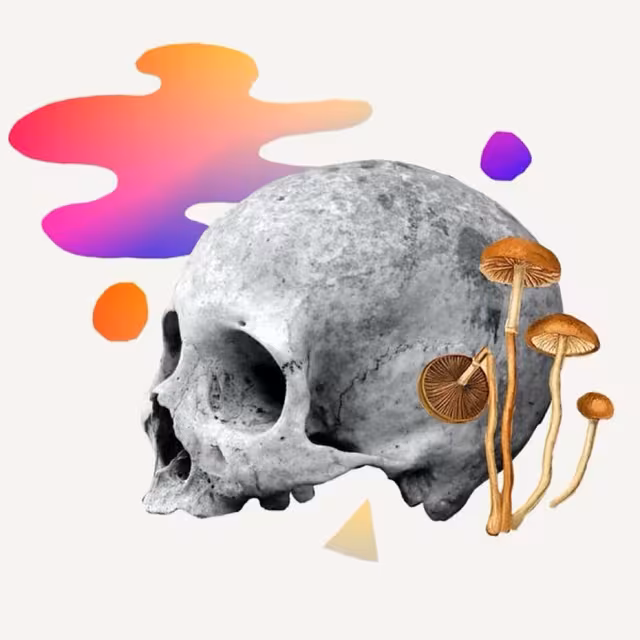 Gray skull with mushrooms and colorful liquid-like shapes