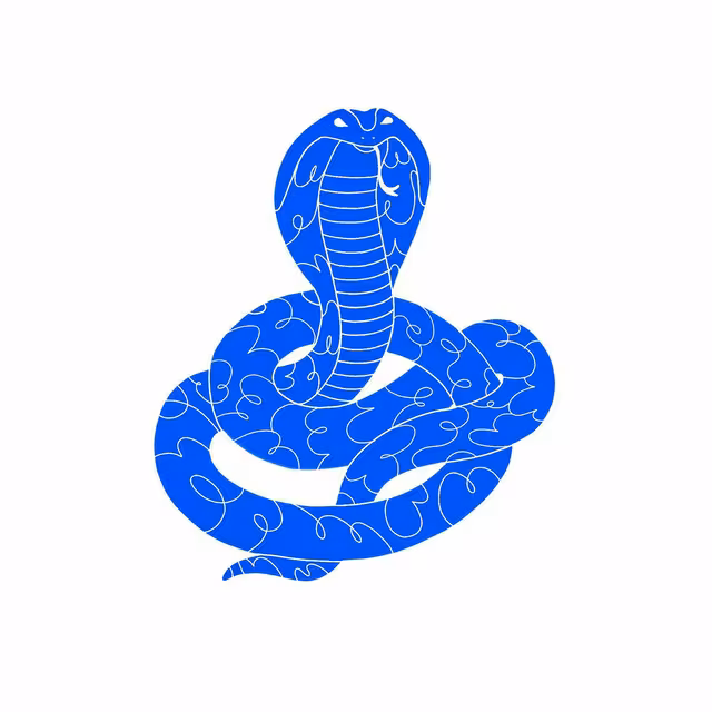Coiled blue cobra with decorative floral markings on white