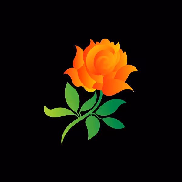 Bright orange rose with green leaves on black