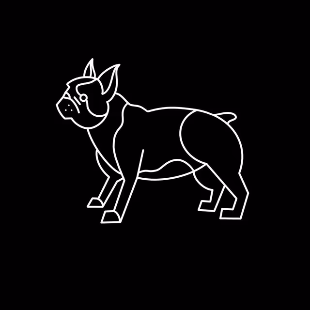 White line illustration of a bulldog on black