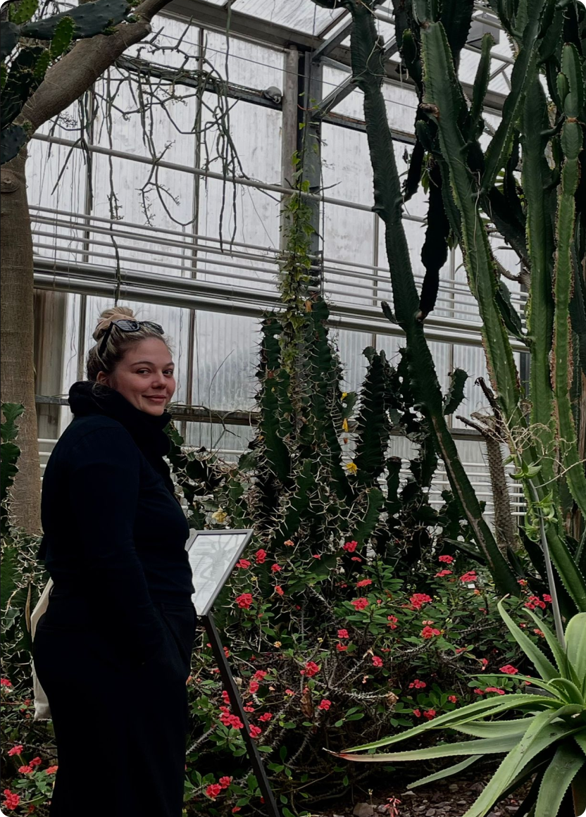 Ship it Queen Head of Delivery