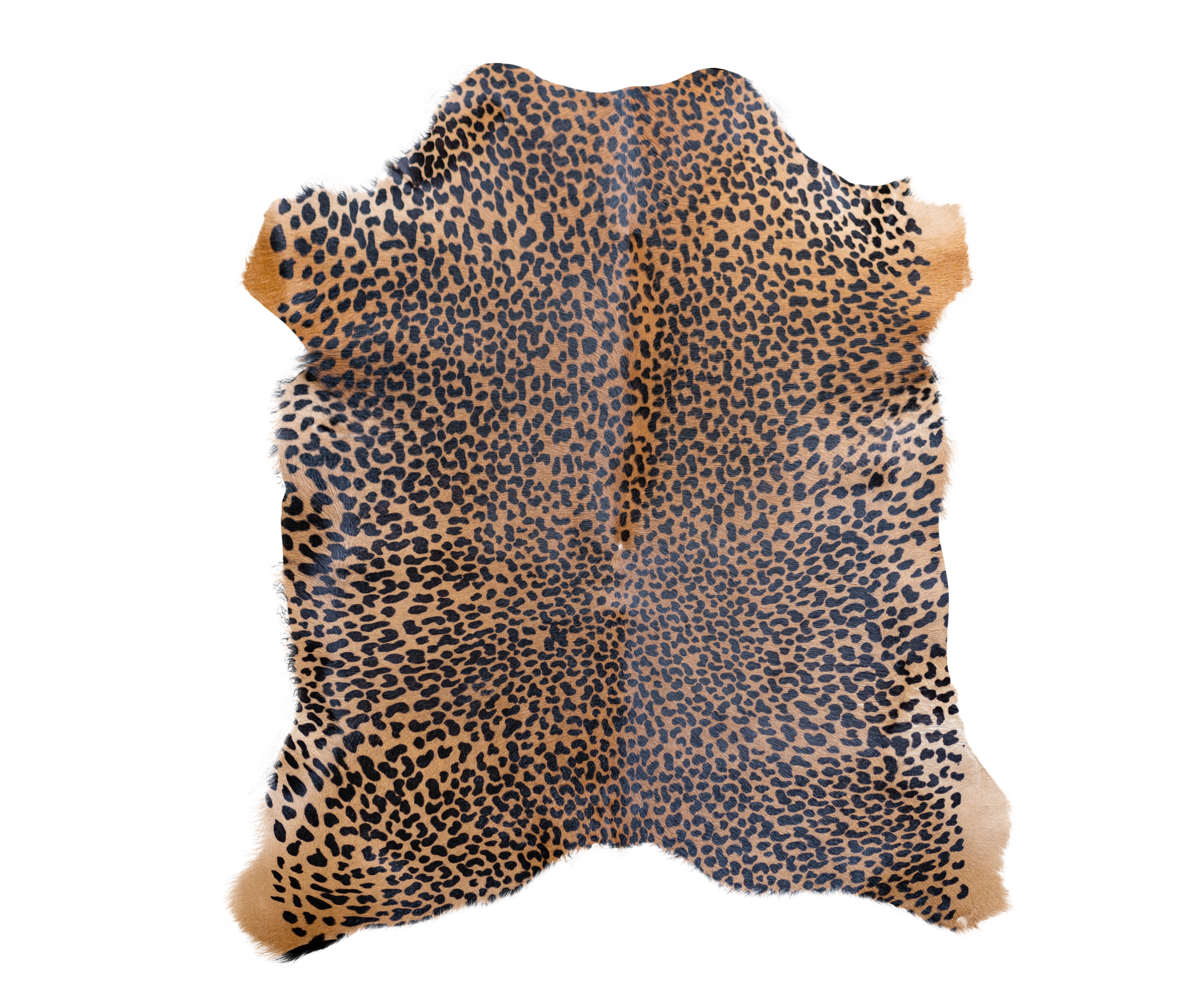 image of a sleek armchair with vibrant design set in a modern furniture store