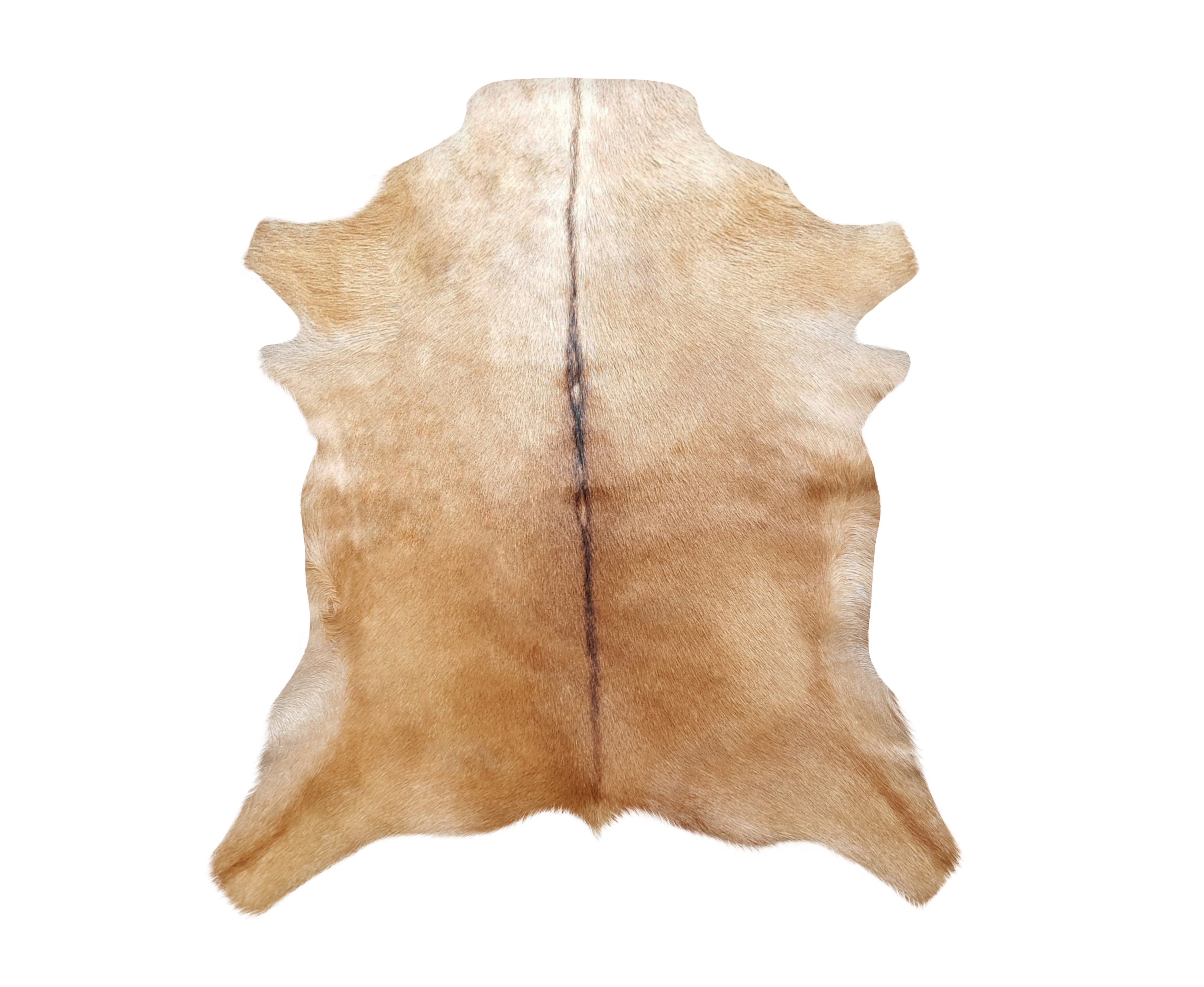 image of a sleek armchair with vibrant design set in a modern furniture store