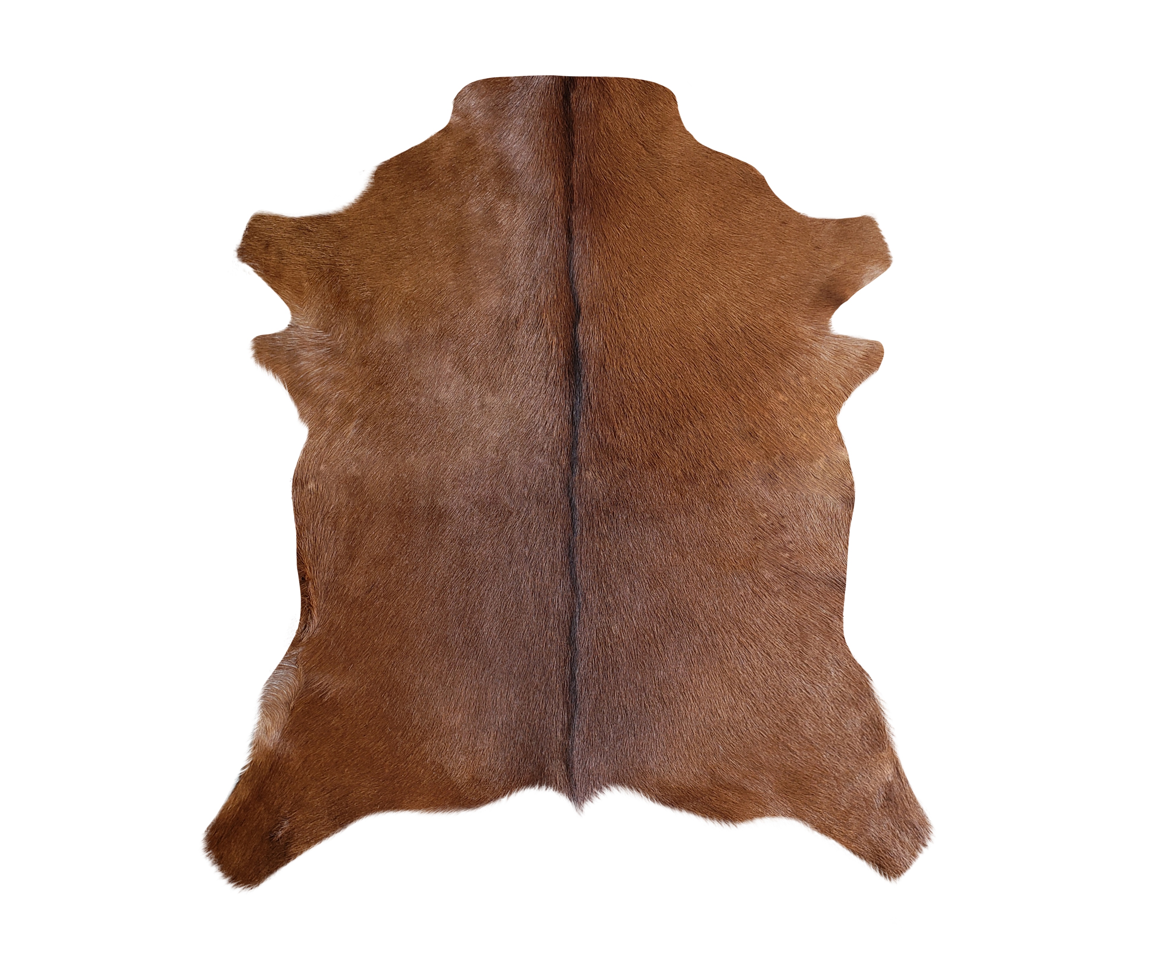 image of a sleek armchair with vibrant design set in a modern furniture store