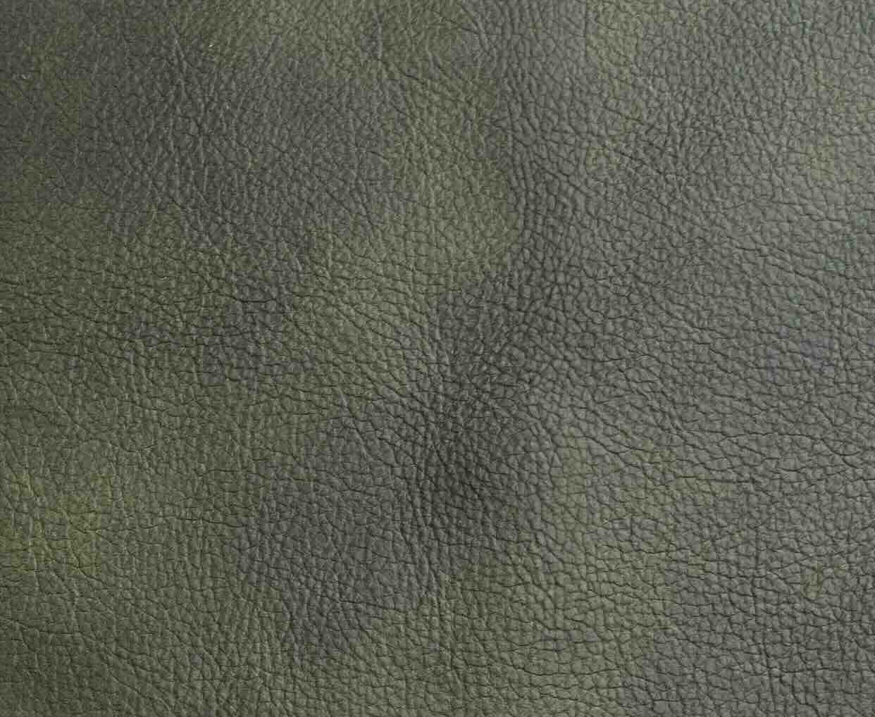 Leather color swatch - Harbor (Greens & Olives) | Astoria Leather