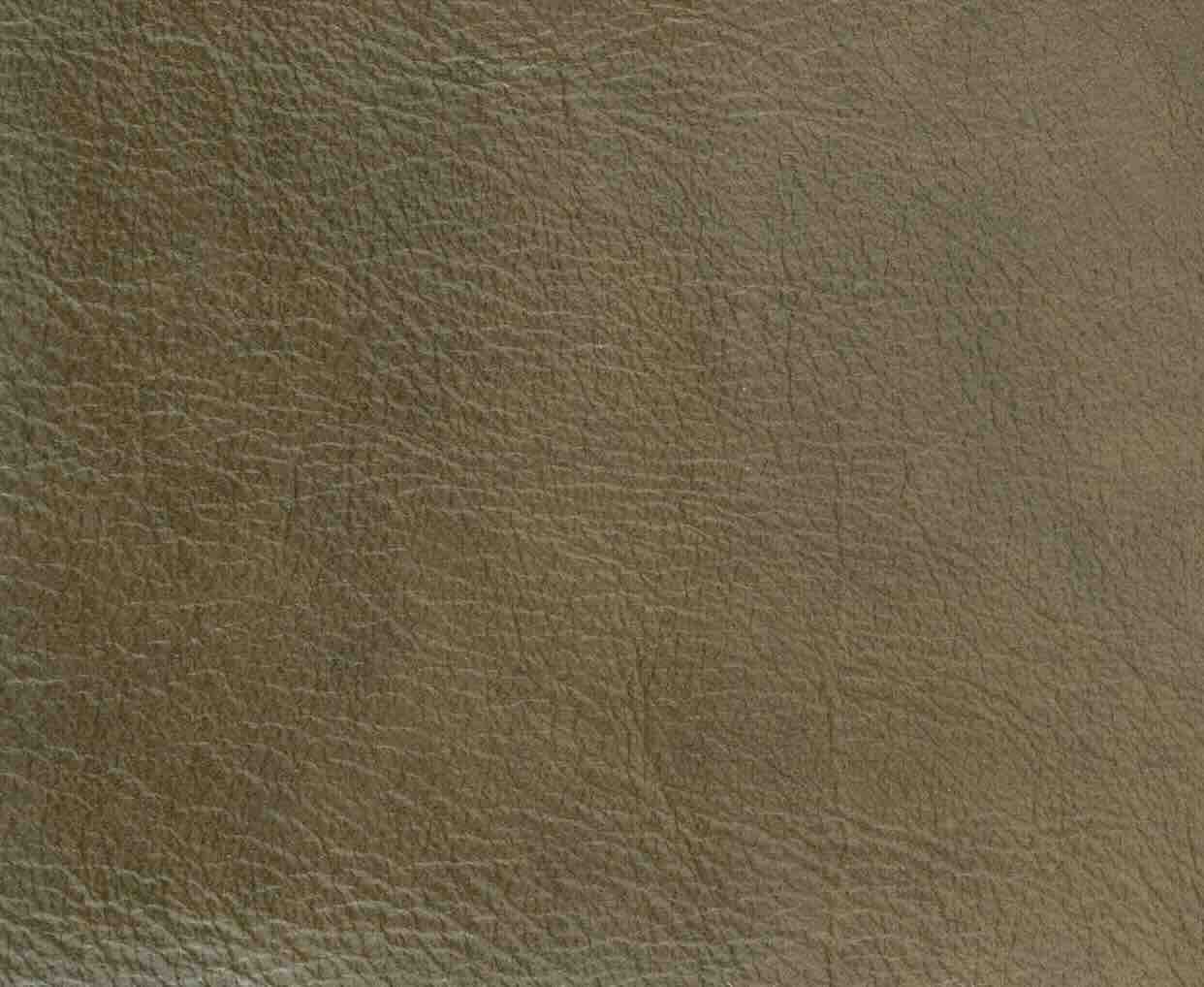 Leather color swatch - Avocado (Greens & Olives) | Astoria Leather