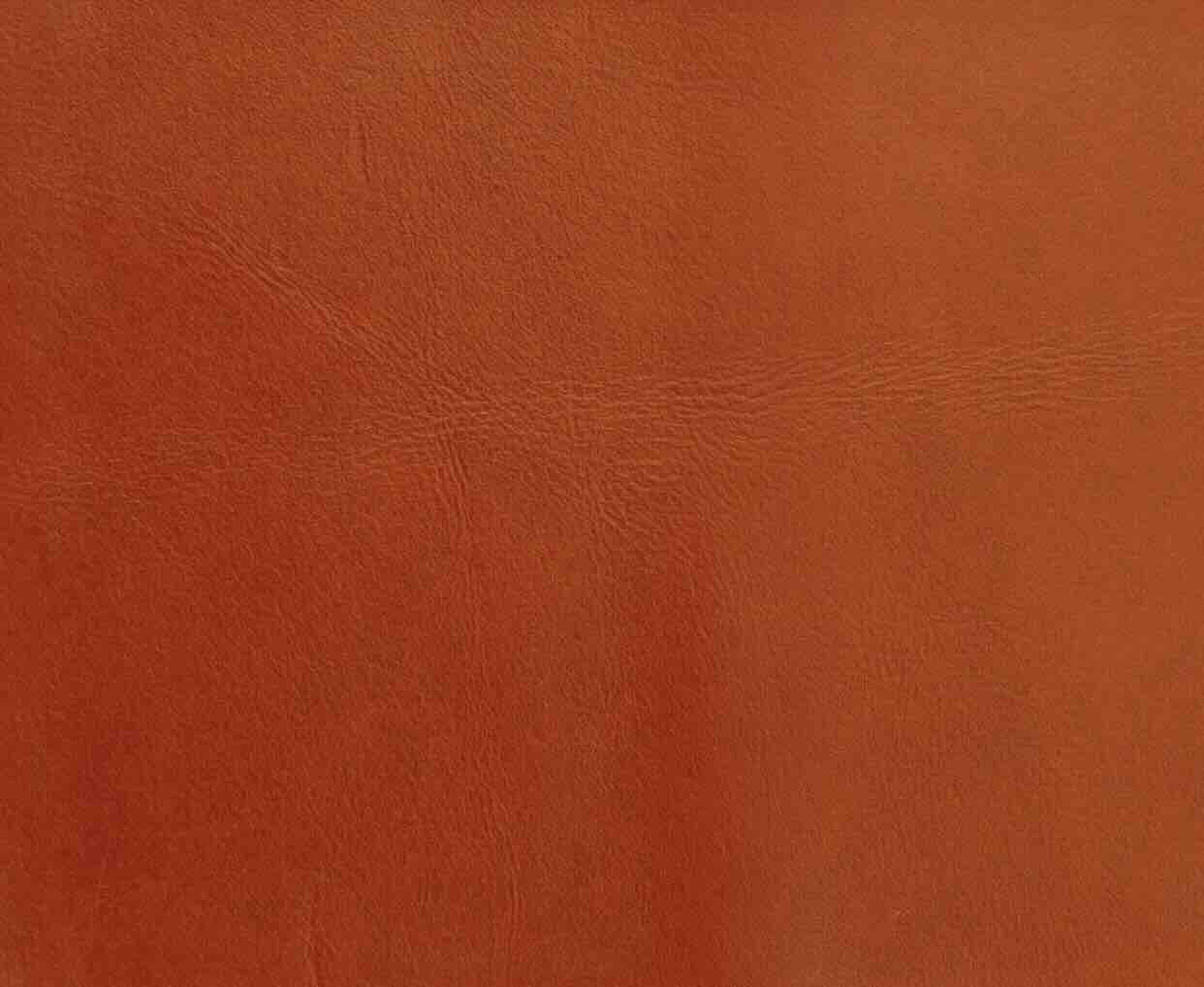 Leather color swatch - Pumpkin (Yellows & Oranges) | Astoria Leather