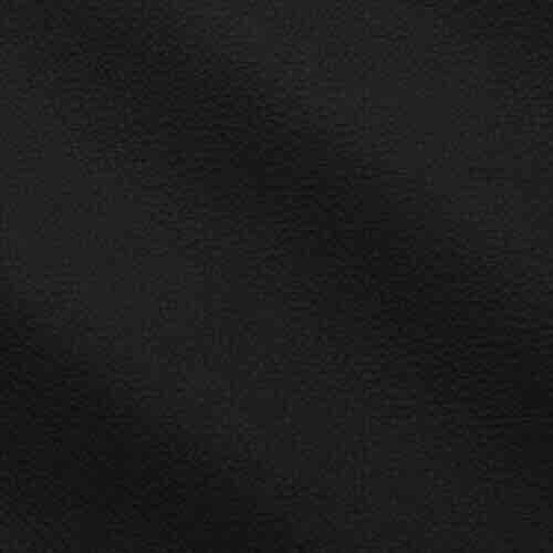 Leather color swatch – Black (Blacks & Charcoals) | Astoria Leather