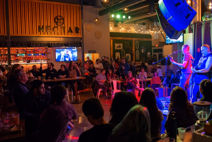 Crowd watching a live band perform on stage in a dimly lit bar with Nectar signage and a TV screen in the background.
