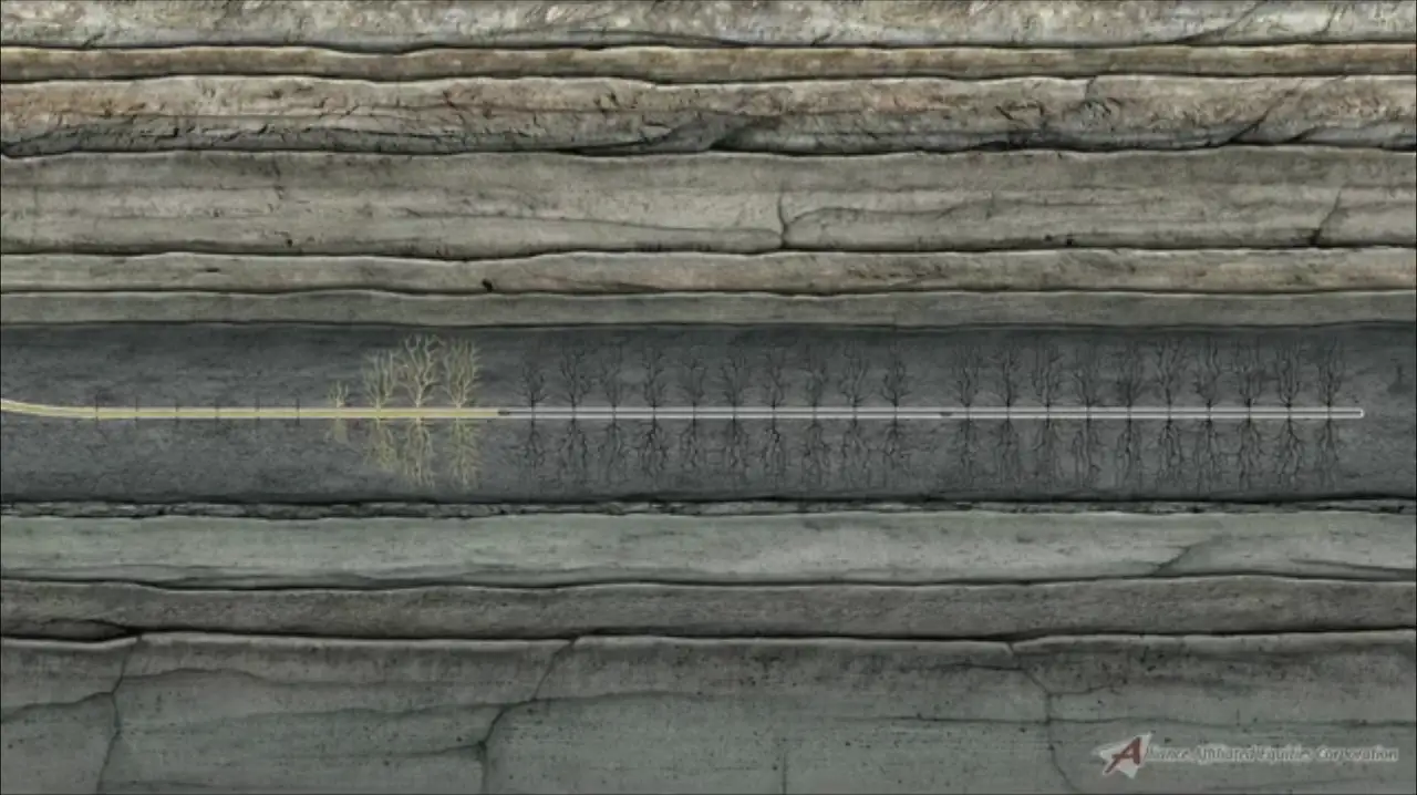 Alliance Equities Corporation video thumbnail