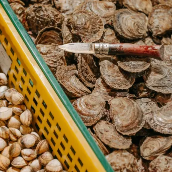 Knife placed on a pile of oysters with clams in a yellow basket next to it.