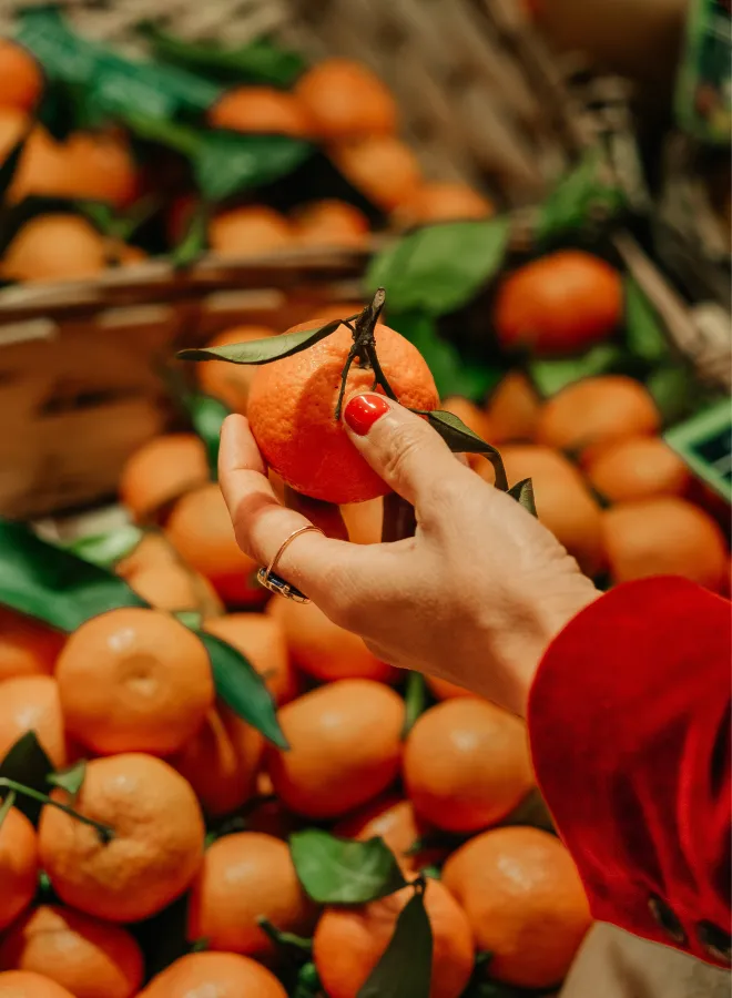 Hand holding a mandarin with leaves above a basket filled with mandarins.