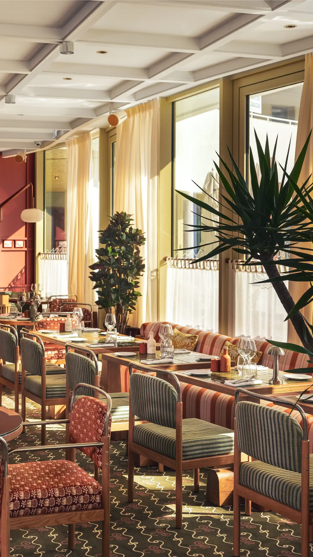 Stylish dining room with set tables, striped chairs, and decorative plants near large windows.