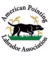 Logo of the American Pointing Labrador Association featuring a black Labrador dog pointing among grass and wheat.
