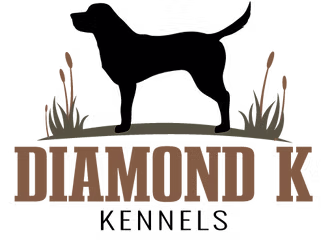 Diamond K Kennels logo